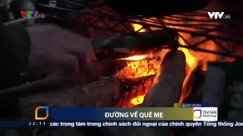 Nhập cư trái phép vào châu Âu người Việt mong được trở lại quê hương trong vô vọng