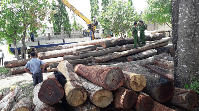 Khởi tố 'trùm' Phượng 'râu' và 4 đối tượng liên quan đường dây gỗ lậu 'khủng'