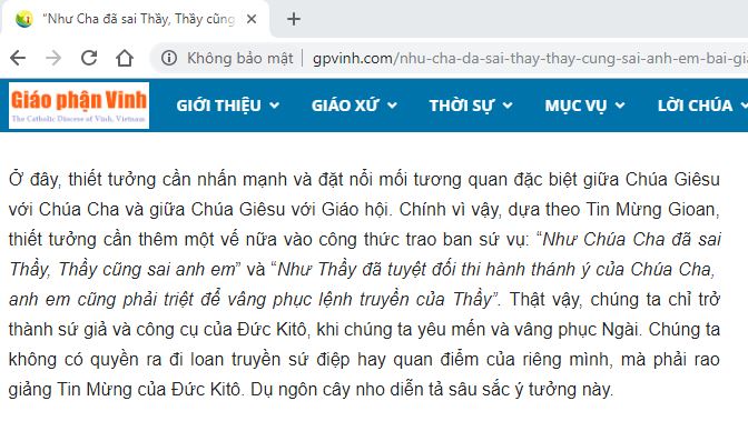 Đôi điều về bài giảng của Giám mục Nguyễn Thái Hợp tại Lễ truyền chức Linh mục Giáo phận Vinh năm 2018