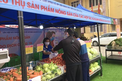 Việt tân xuyên tạc chính quyền Hà Nội tịch thu hàng giải cứu nông sản