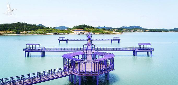 Hòn đảo vô danh bỗng chốc thành thiên đường du lịch vì được “nhuộm tím” ở Hàn Quốc