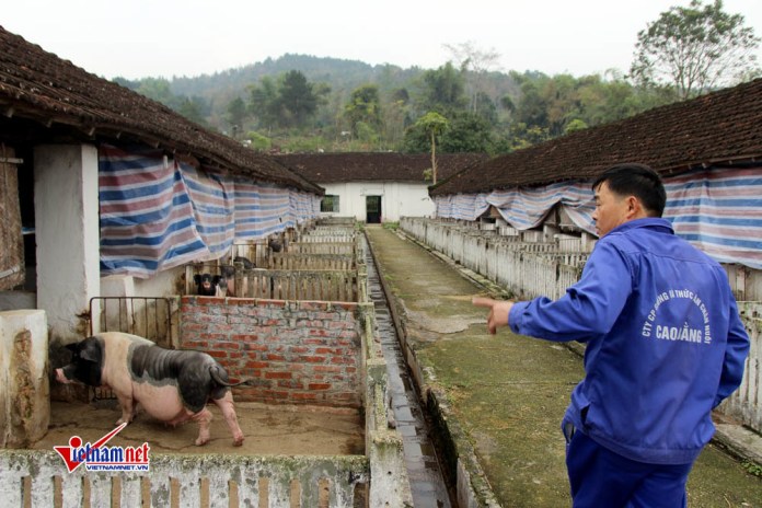 Chiến tranh biên giới 1979: Cuộc chạy trốn bất thành của 43 người