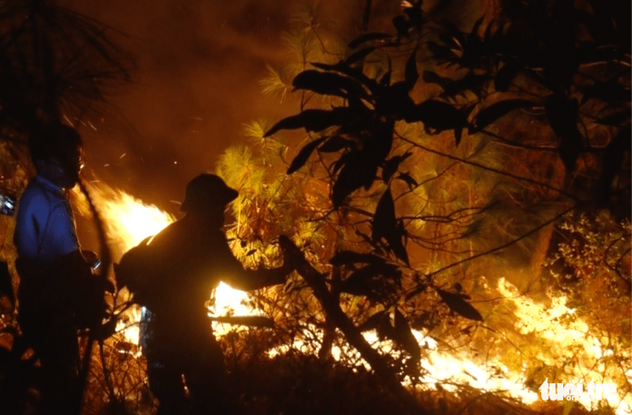 Cận cảnh xuyên đêm chiến đấu ‘giặc lửa’ cứu rừng