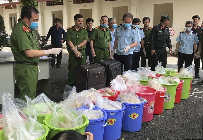 Bắt lô ma túy ketamine lớn nhất Việt Nam