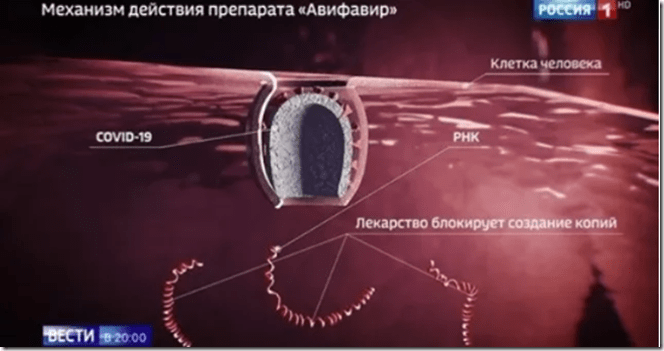 Nga điều chế thành công thuốc điều trị Covid-19