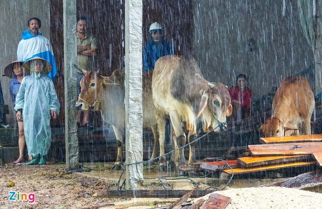 Sơ tán hàng nghìn người khỏi vùng nguy hiểm trước khi bão số 5 đổ bộ