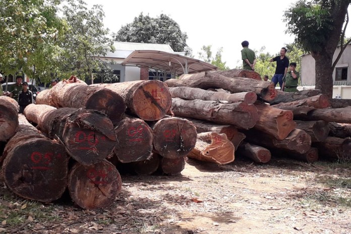 Triệt phá xưởng gỗ lậu khủng trong Vườn Quốc gia Yok Đôn (Đắk Lắk - Đắk Nông): Chủ xưởng Phượng “râu” là ai?