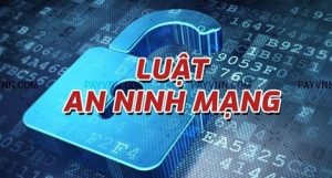 Cảnh giác trước “chiến dịch” chống phá việc thi hành Luật An ninh mạng