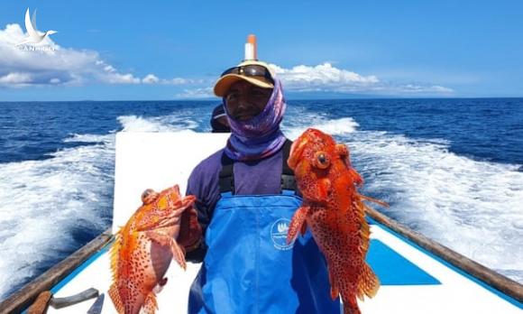 Tàu Trung Quốc vơ vét hàng nghìn tấn cá, mực gần Galapagos