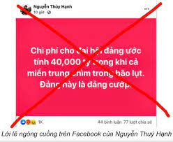 Nguyễn Thúy Hạnh (3) - thất bại với giấc mơ chính khách, thành Đại biểu Quốc hội