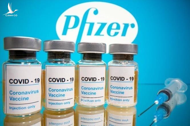 Đề nghị Bộ Y tế phê duyệt khẩn cấp vắc xin của Pfizer