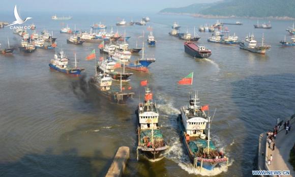 Trung Quốc tạm cấm tàu nước này bắt mực ở Thái Bình Dương, Đại Tây Dương
