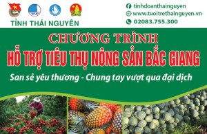 Những cái bô bốc mùi