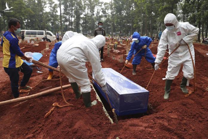 Indonesia náo loạn: Món bình dân ở Việt Nam đang được dân xứ vạn đảo săn như “thần dược” chữa Covid-19