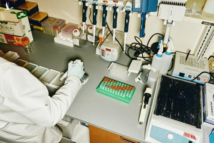 Mỹ tham vọng tạo vaccine chung cho 20 họ virus Mỹ tham vọng tạo vaccine chung cho 20 họ virus