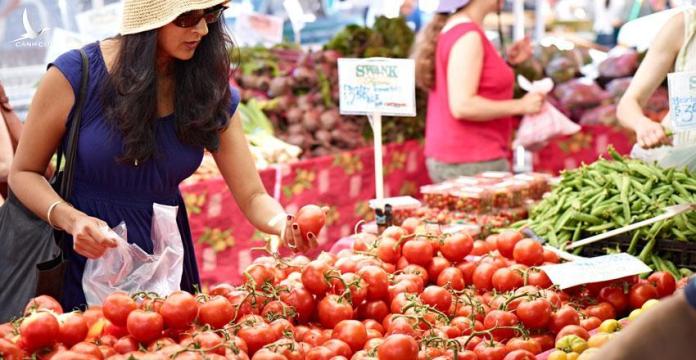 Trong nước tiêu thụ chậm, bán rẻ, sang Úc loại quả này của Sơn La lên kệ siêu thị sang chảnh, giá gần 300.000 đồng/kg