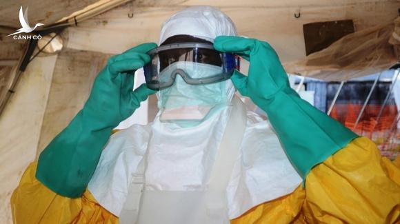 Phát hiện virus Marburg: Giống Ebola và Covid-19, tỷ lệ tử vong lên tới 88%