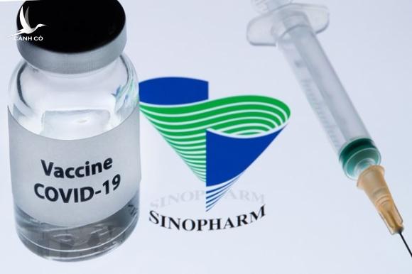 WHO khuyến cáo các đối tượng nào được tiêm vaccine Sinopharm?